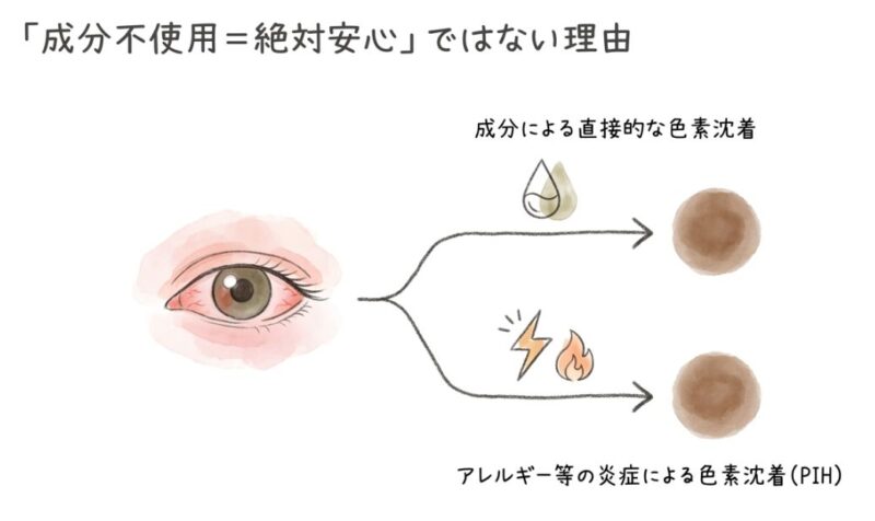 成分不使用=絶対安心ではない理由